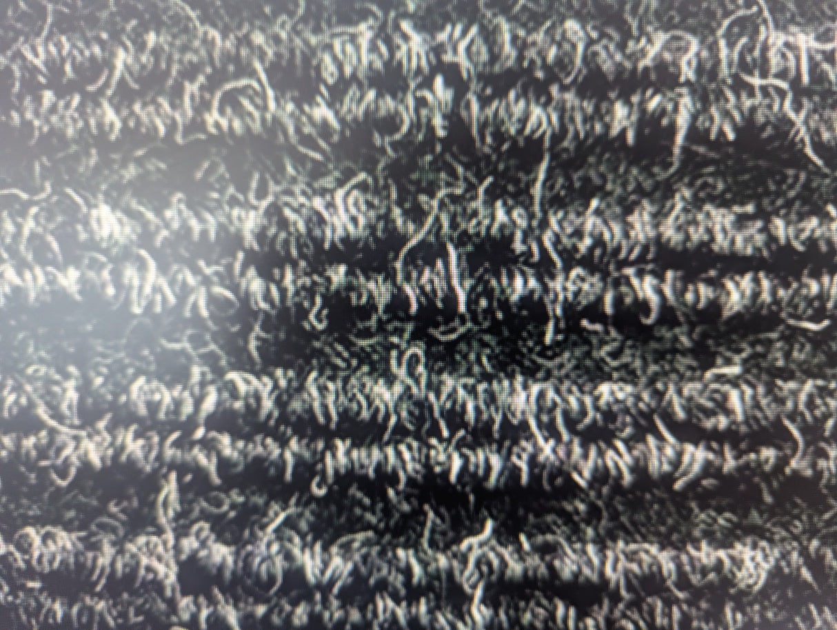 Clearance: 5m2 Nouveau entrance matting- Cilla Black