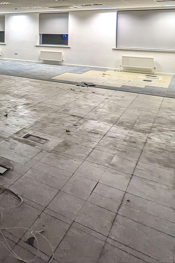 Before photo 2