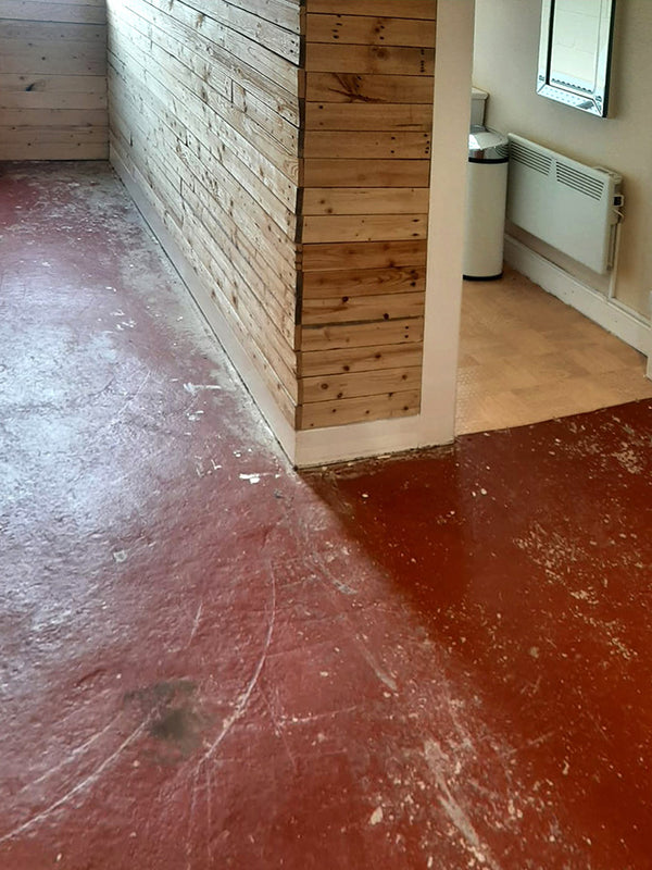 Before photo 1