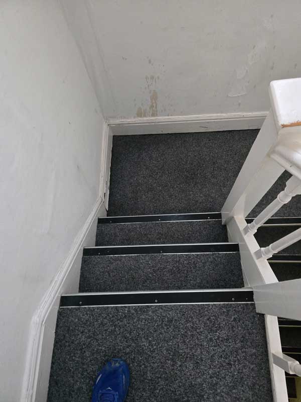 Before photo 3