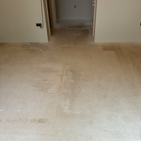 Before photo 1