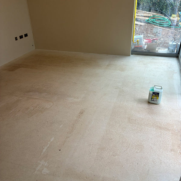 Before photo 2