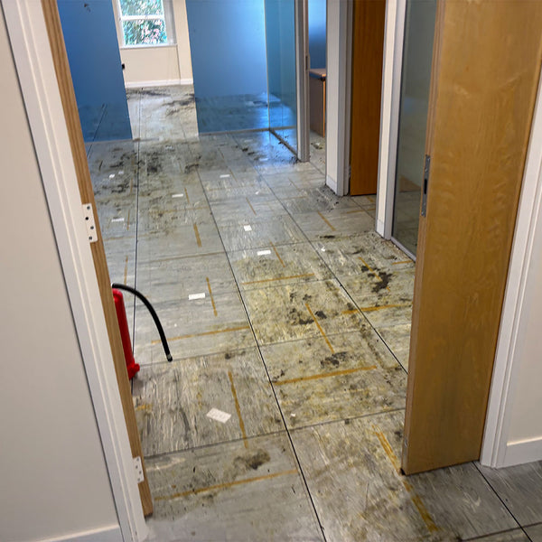 Before photo 2