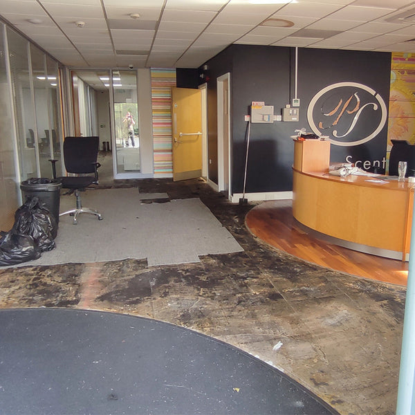 Before photo 3