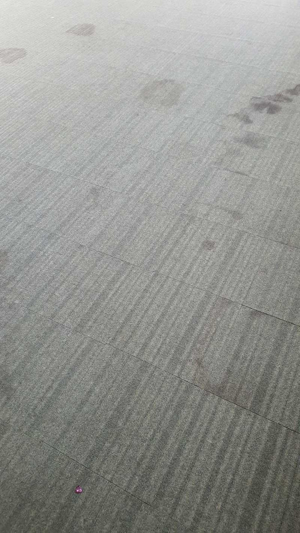 Before photo 3