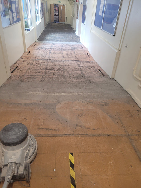 Before photo 4