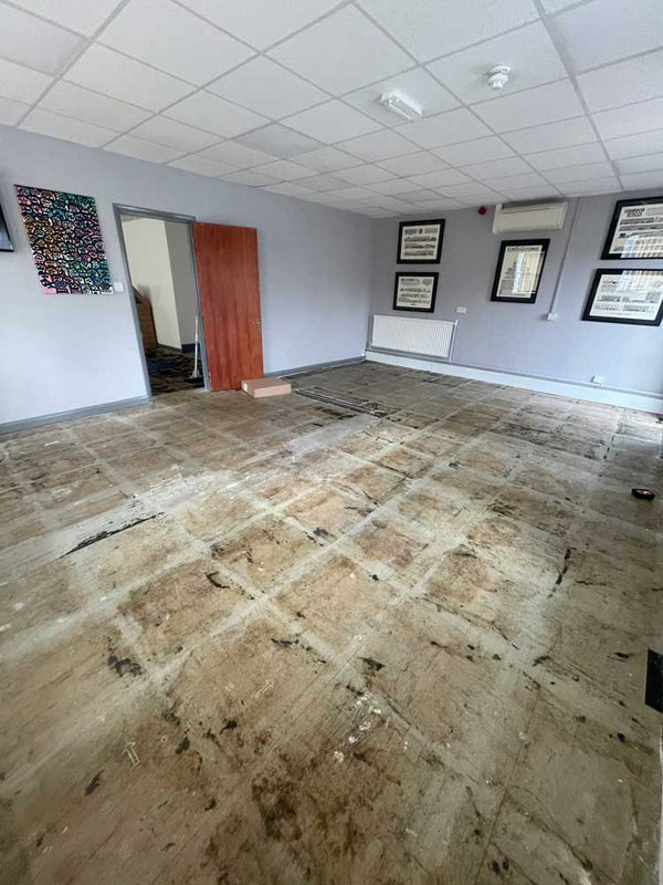 Before photo 2