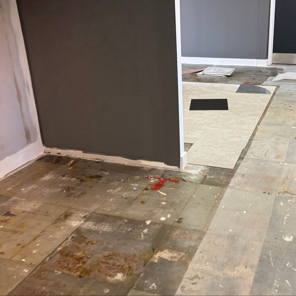 Before photo 2