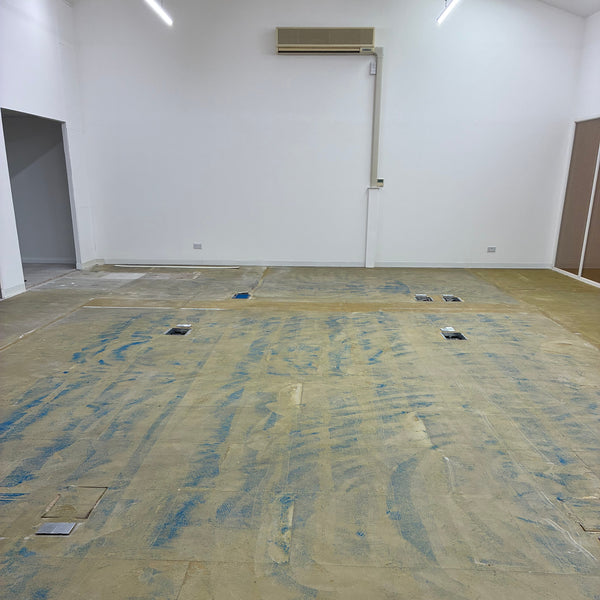 Before photo 3