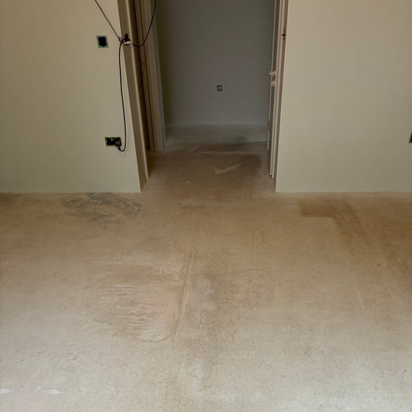 Before photo 2