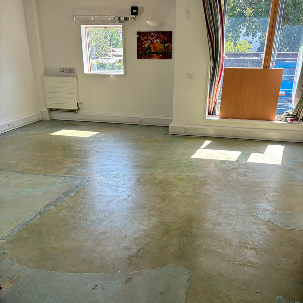 Before photo 1