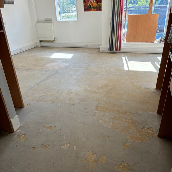 Before photo 2