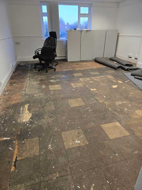 Before photo 1