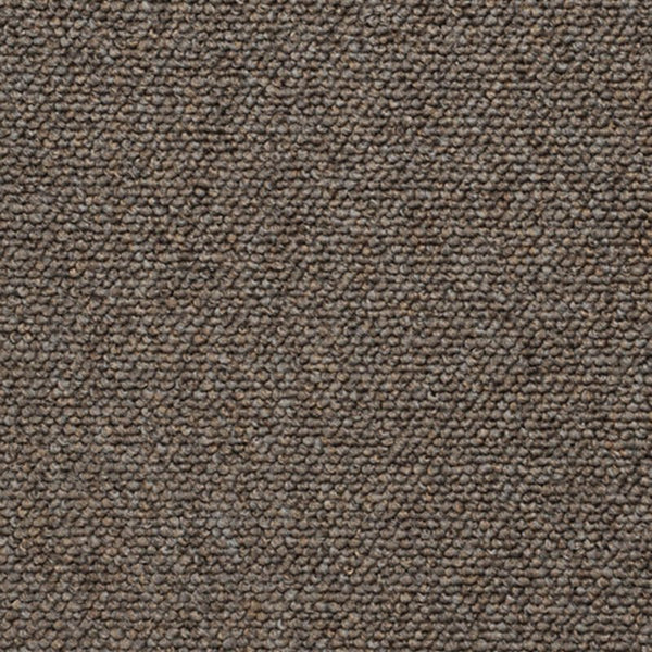 Light Greyish Brown 078275548