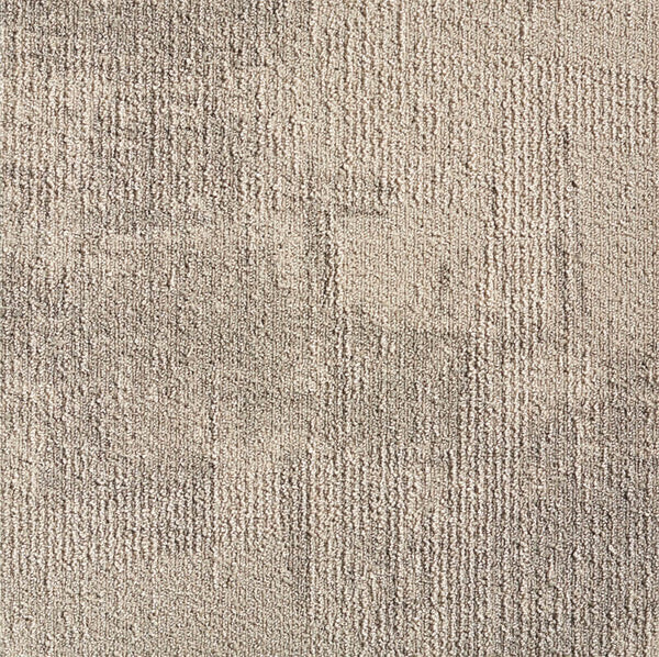 Beige 079702048