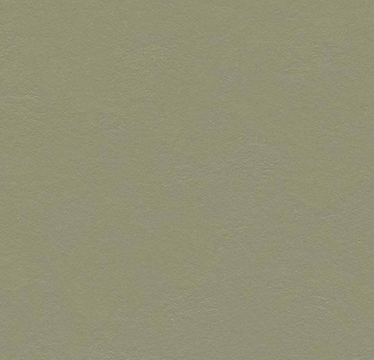 Forbo Marmoleum Solid Walton Rosemary Green 3355 Linoleum - DCTUK