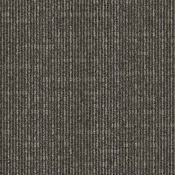 Taupe 9553005
