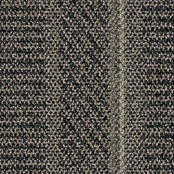 Coal 9554005