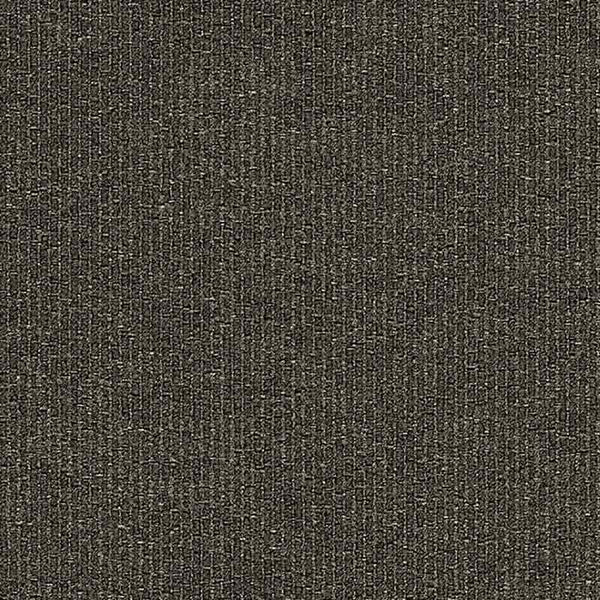 Coal 955505