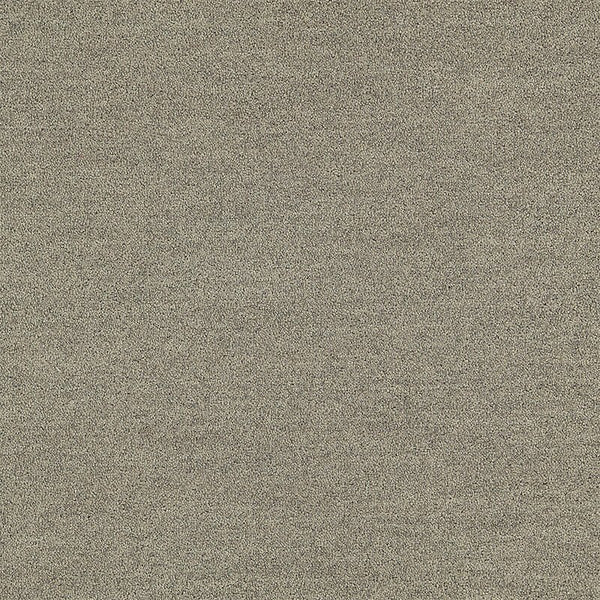 Shiitake 4266007