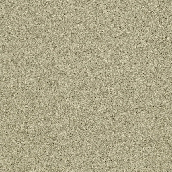 Turtledove 4266017