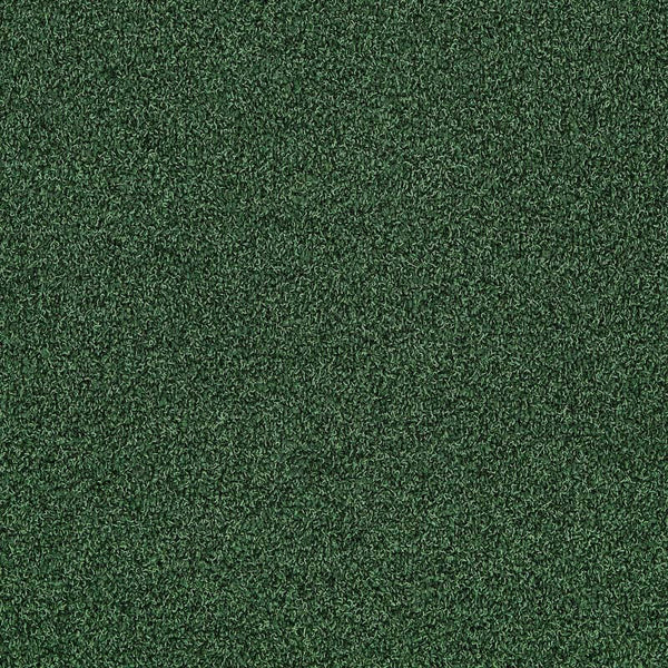 Forest 4175079