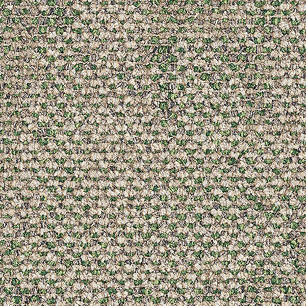 2529006 Rainforest Canopy