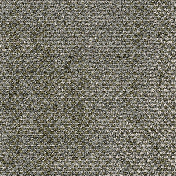 2529010 Spinifex Grass
