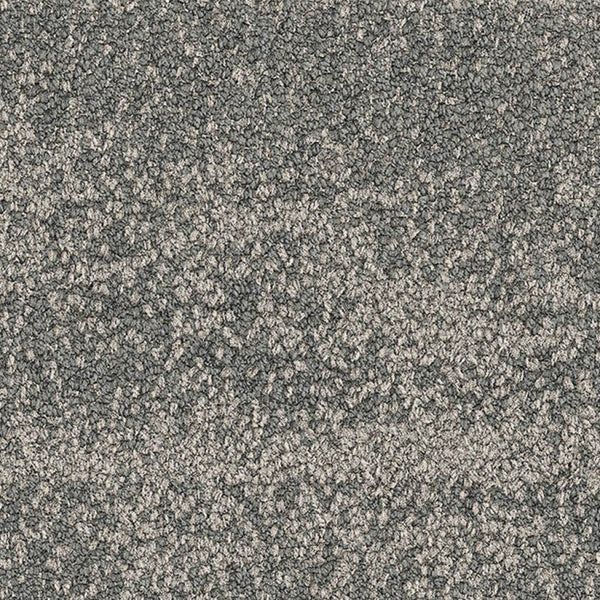 2528005 Spinifex
