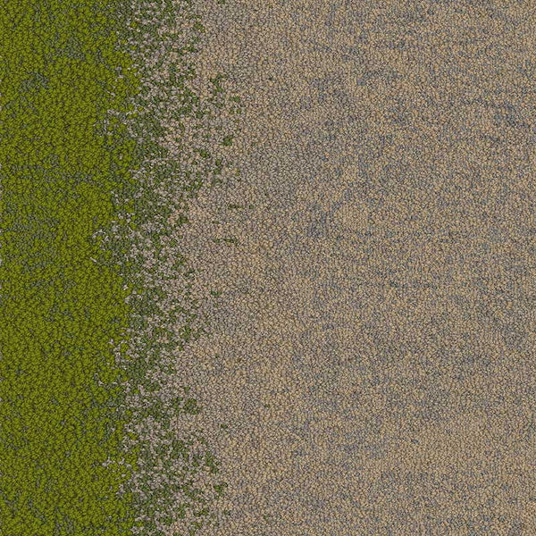 Flax/Grass