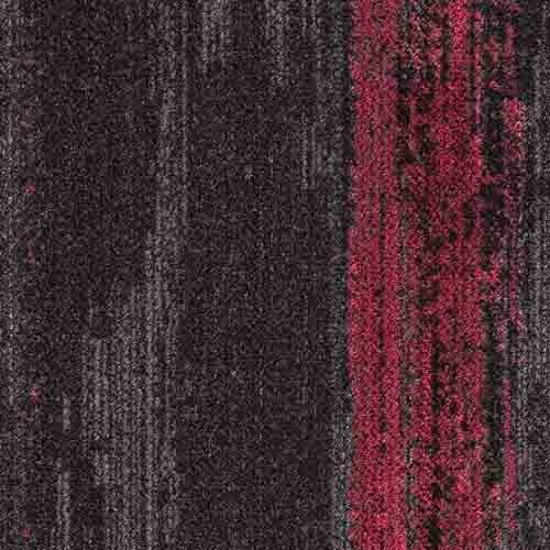 Coal/Carnation CMP168/27