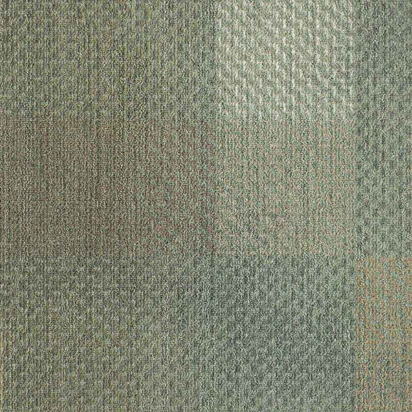Sage WOV259-83-37