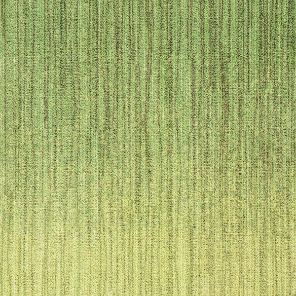 Pea Shoot / French Garden HST 141 / 103