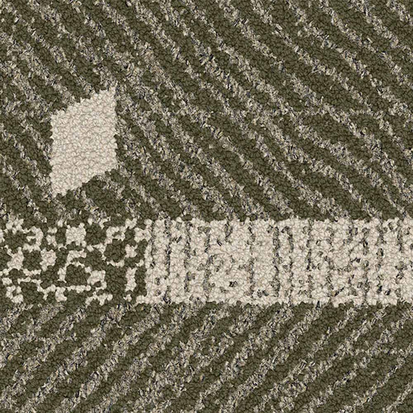 Olive 1905008