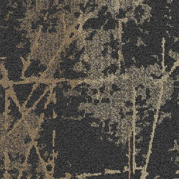 Umber 31505