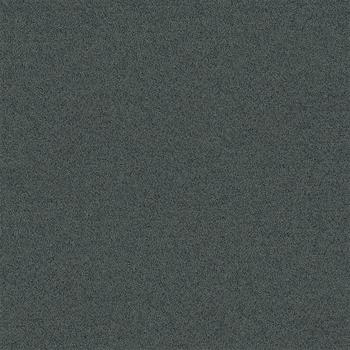 Interface Polichrome Solid - Cloudburst 4266003