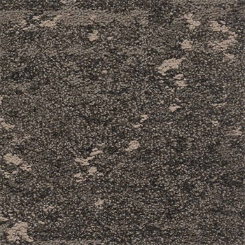 Mohawk Lichen Community - Micro Bloom - 969