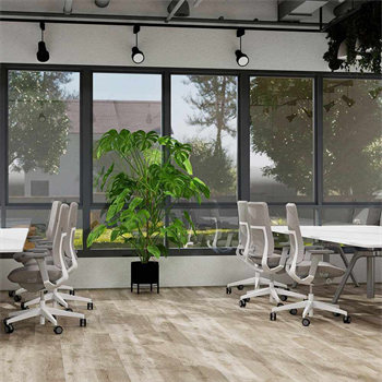 Balsan Elite Gluedown 55 - Madison Linen