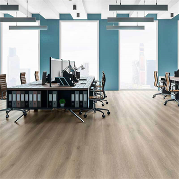 Tarkett Inspiration Contemporary Oak Grey 24231109
