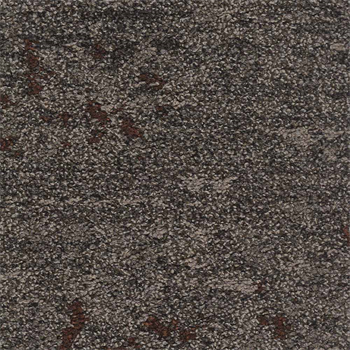 Mohawk Lichen Community - Micro Bloom - 869