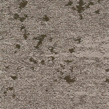 Mohawk Lichen Community - Micro Bloom - 675