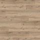Polyflor Expona Commercial Wood Gluedown 184.2mm x 1219.2mm - Oiled Oak
