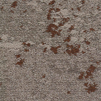 Mohawk Lichen Community - Micro Bloom - 375