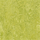 Forbo Marmoleum Marbled - Authentic 3224 Chartreuse