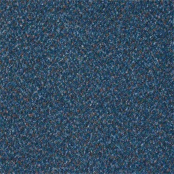 Gradus Predator - Orca 03303