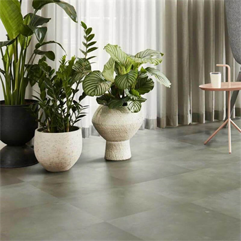 Interface Iridescence