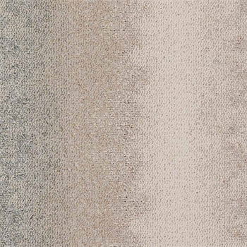 Interface CE200 - Consider/Survey 4316013 