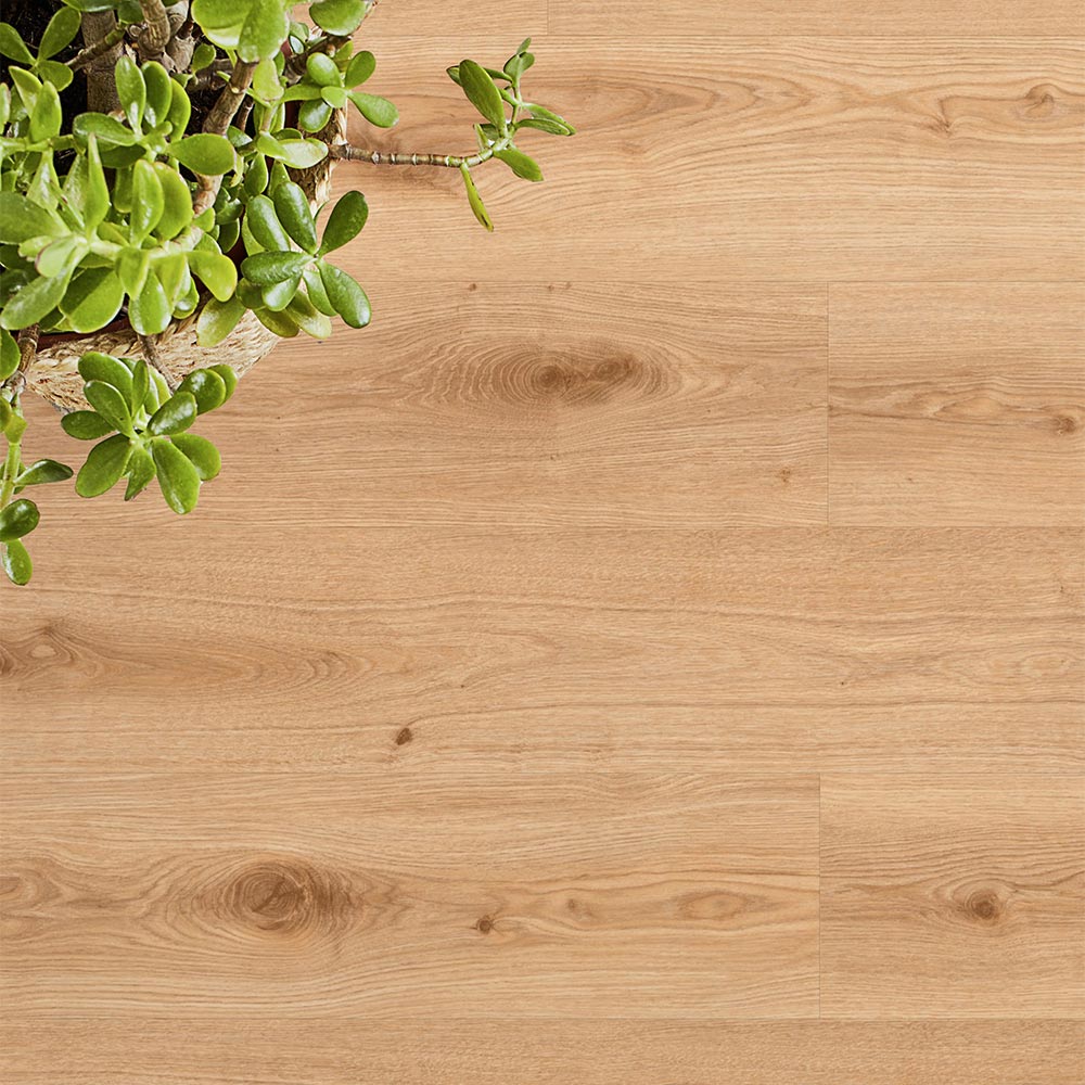 Tarkett Essence 30 Gluedown Primary Oak Light Brown 260055005