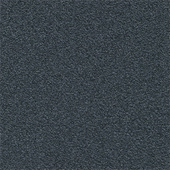 Modulyss Perpetual& - 519