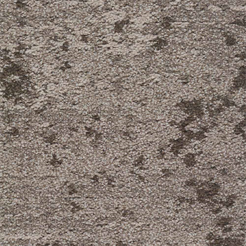 Mohawk Lichen Community - Micro Bloom - 979